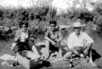 Click to Enlarge Image