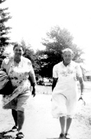 Click to Enlarge Image