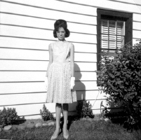 Cliquer pour agrandir l'image