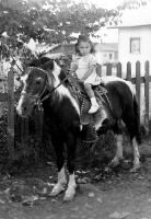 Cliquer pour agrandir l'image