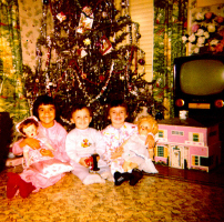 Cliquer pour agrandir l'image