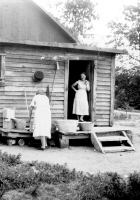 Cliquer pour agrandir l'image