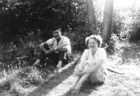 Cliquer pour agrandir l'image