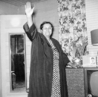 Cliquer pour agrandir l'image